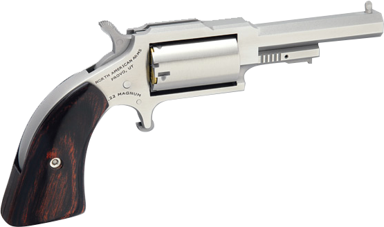 North American Arms Sheriff 22 LR | 22 Magnum