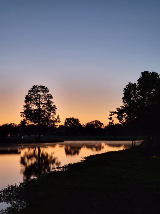 Discover the Best Places