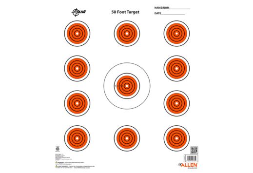 ALLEN EZ AIM 11 SPOT TARGET 13-PK 12"X12"