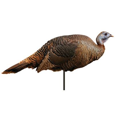 MONTANA DECOY SPRING FLING HEN DECOY