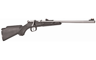 Henry Repeating Arms Mini Bolt 22 LR