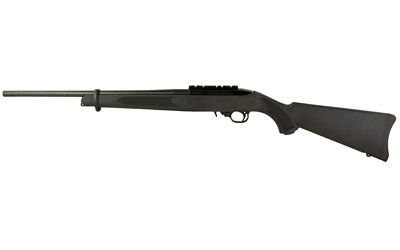 Ruger 10/22 Carbine 22 LR