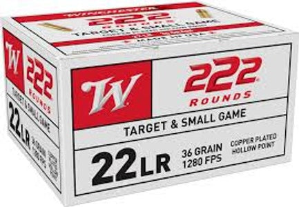 22LR 36 gr Target & Small Game Copper Hollow Point 222/box